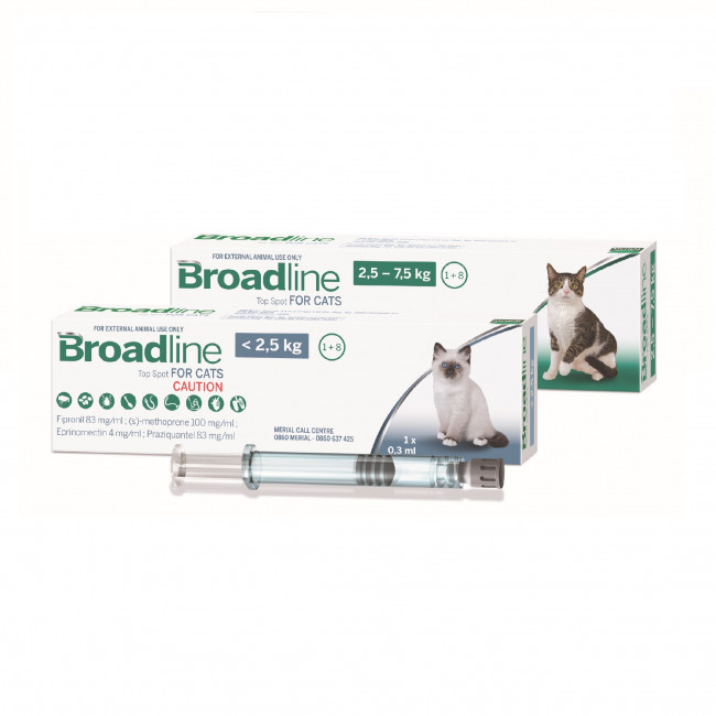 Cat Medication