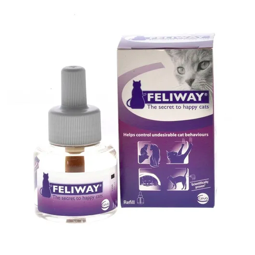 Cat Health & Wellness