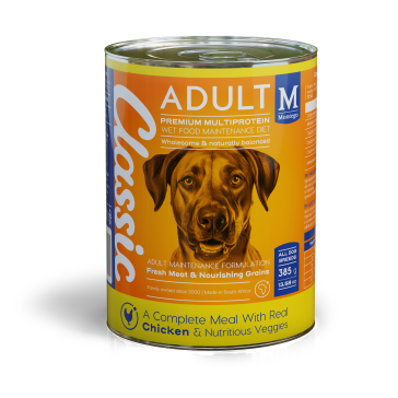 Montego Classic Tender Chicken & Nutritious Veggies Canned Dog Food