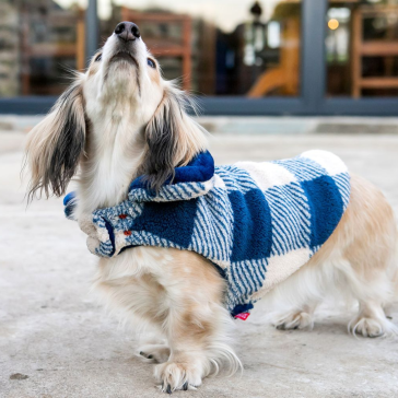 Dog's Life DLWN Champion Dog Winter Cape - Blue