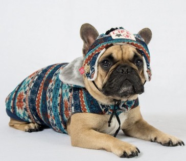Dog's Life Chic Vintage Wool Hat - Turquoise