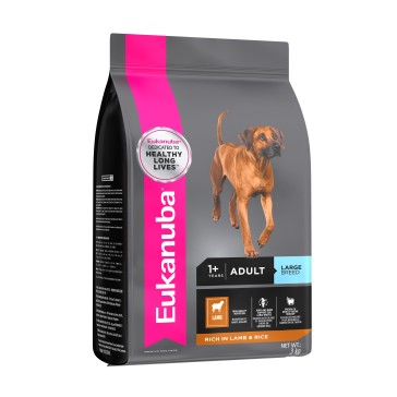 adult large breed lamb & rice dog food