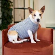 Lucky & Lou The Logan Knitted Dog Jersey