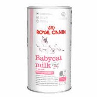 Royal Canin Growth Babycat Milk