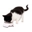 urbanpaws-dog-bowls-buy-online-south-africa