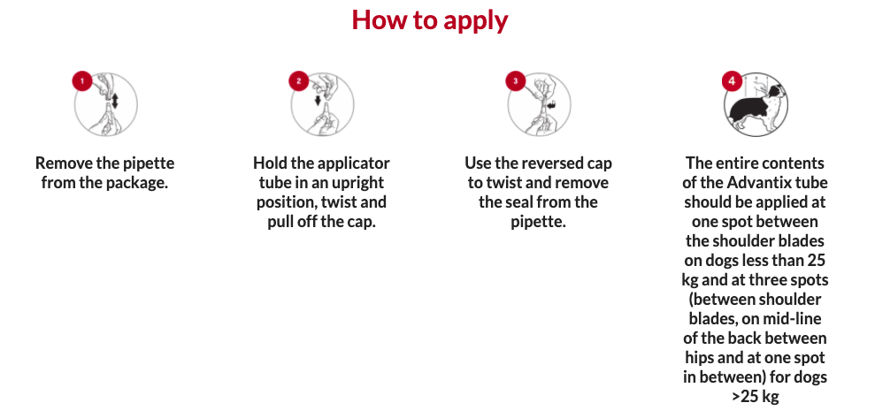 How To Apply
