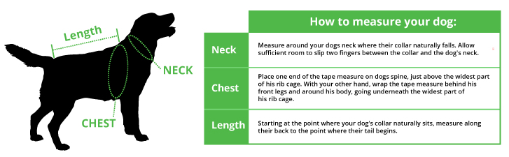 UP Collar