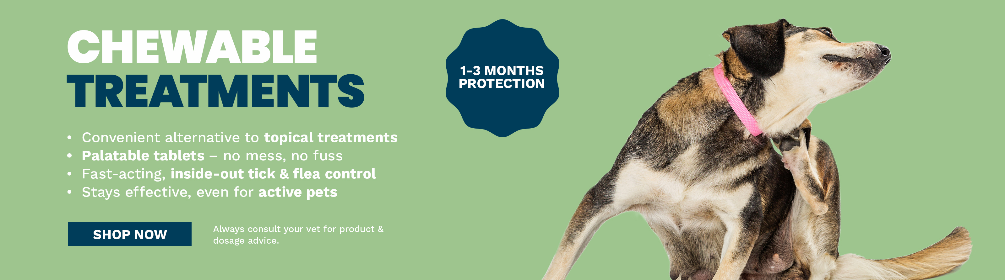 Chewable Tick Flea Treatment South Africa