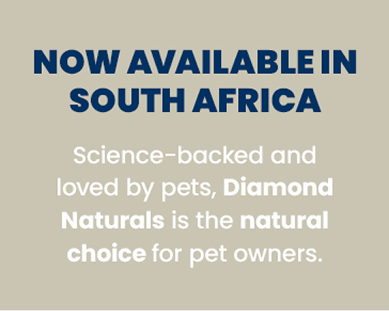 Winter deals for other pets during the Wag Tag Sale