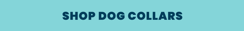 Dog collars